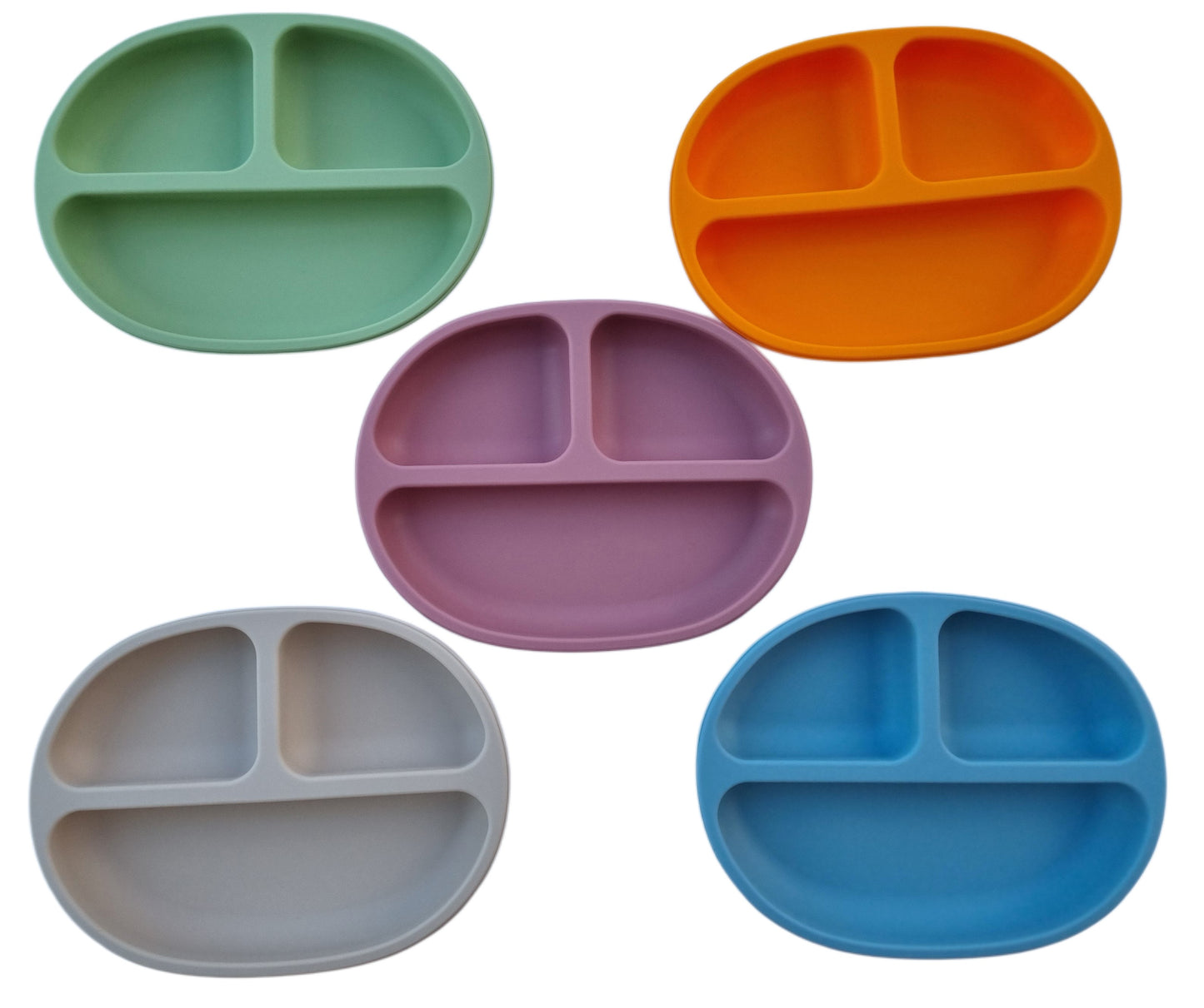 Segmented Silicone Plate with Lid